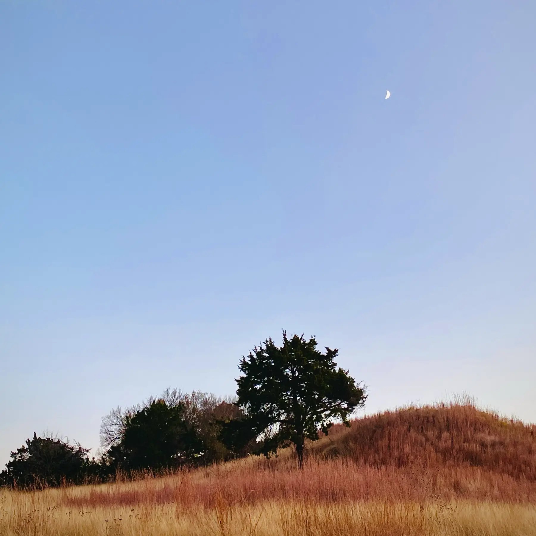 Oklahoma land with moon