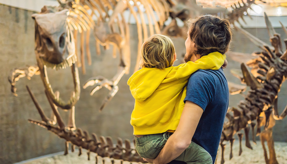 dad and son visiting a budget-friendly science museum 